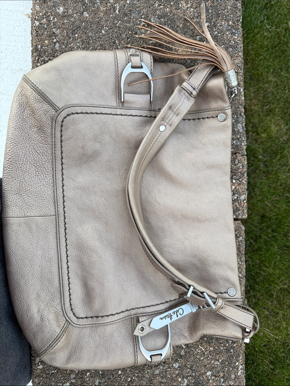Cole Haan Metallic Taupe Shoulder Bag